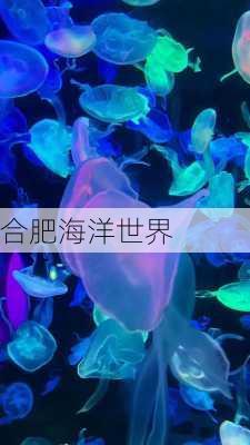 合肥海洋世界