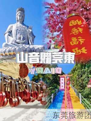 东莞旅游团