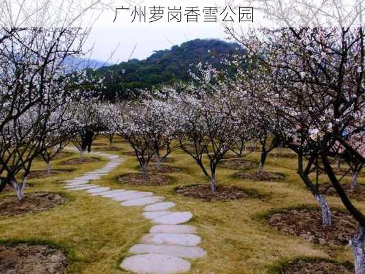 广州萝岗香雪公园