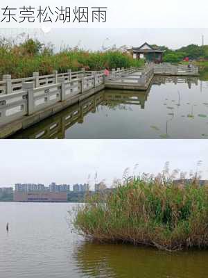 东莞松湖烟雨