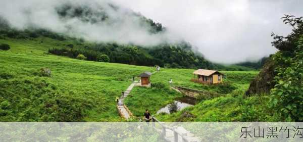 乐山黑竹沟