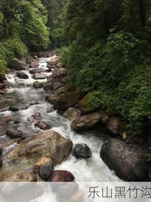 乐山黑竹沟