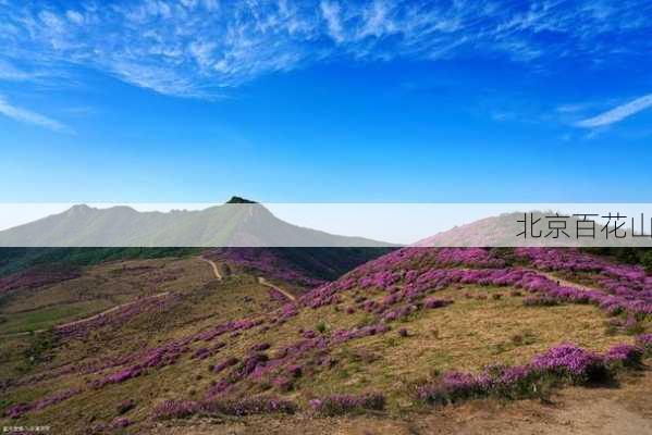 北京百花山