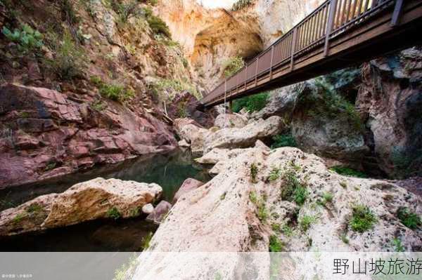 野山坡旅游