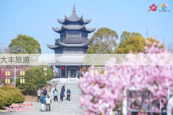 大丰旅游