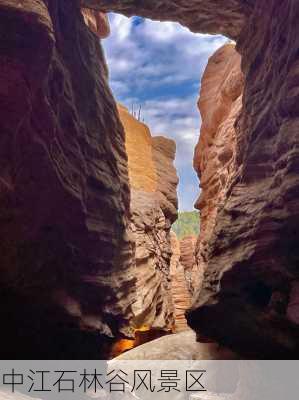 中江石林谷风景区