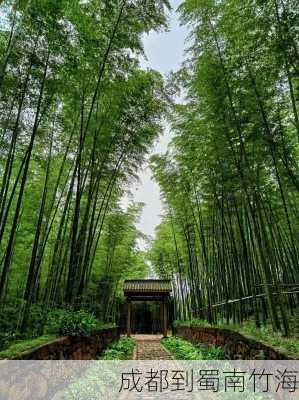 成都到蜀南竹海