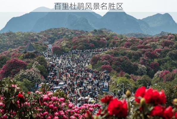 百里杜鹃风景名胜区