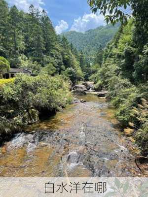 白水洋在哪