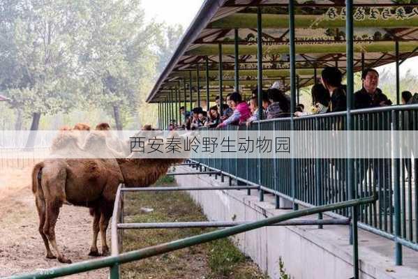 西安秦岭野生动物园