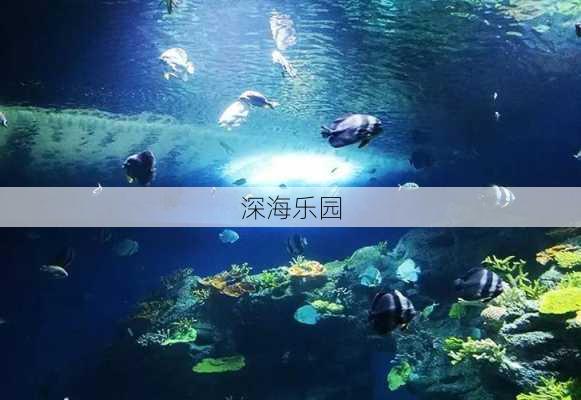 深海乐园