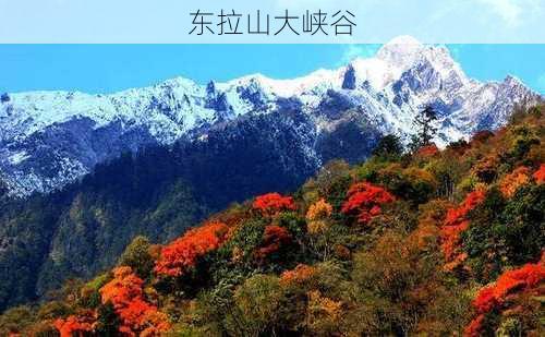 东拉山大峡谷