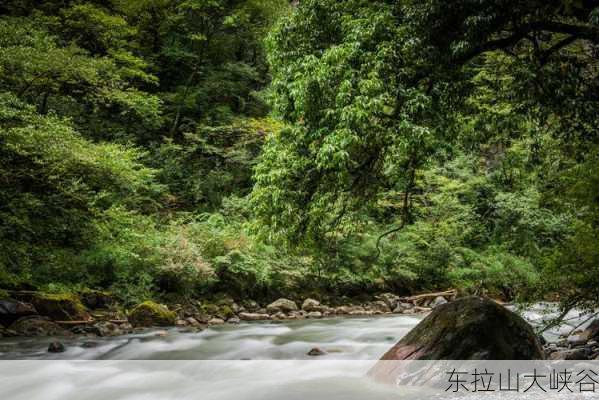 东拉山大峡谷