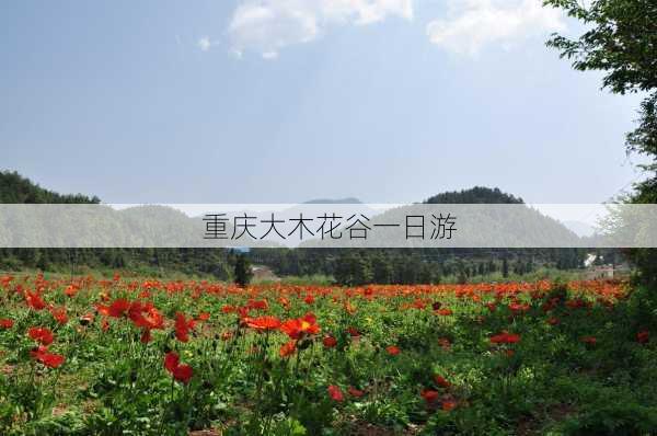 重庆大木花谷一日游