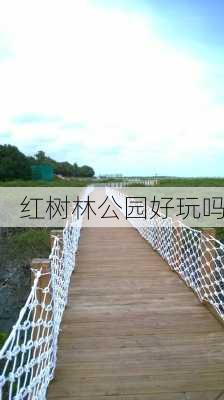 红树林公园好玩吗