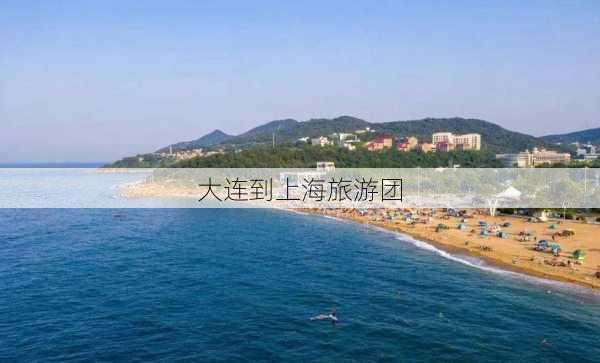 大连到上海旅游团