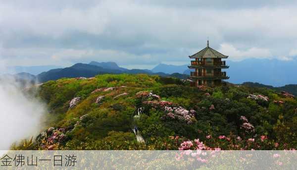 金佛山一日游