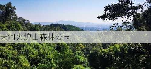 天河火炉山森林公园