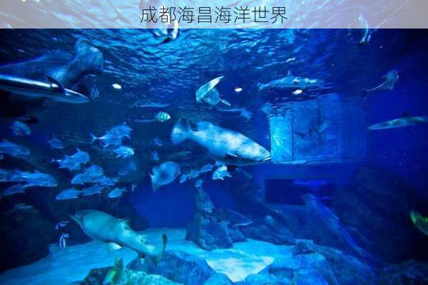 成都海昌海洋世界