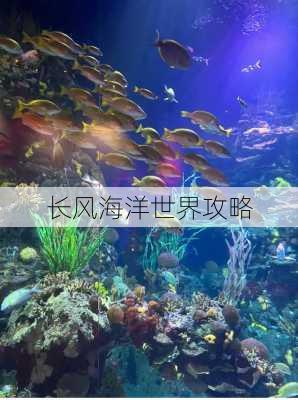 长风海洋世界攻略