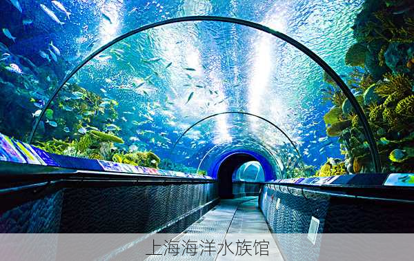 上海海洋水族馆