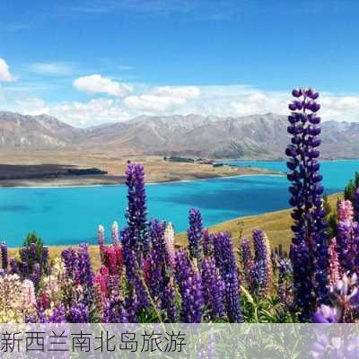 新西兰南北岛旅游