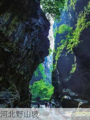 河北野山坡