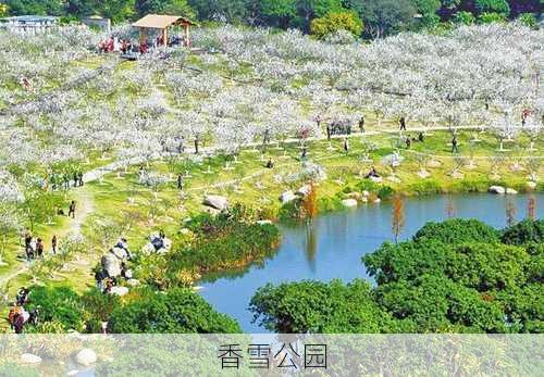 香雪公园