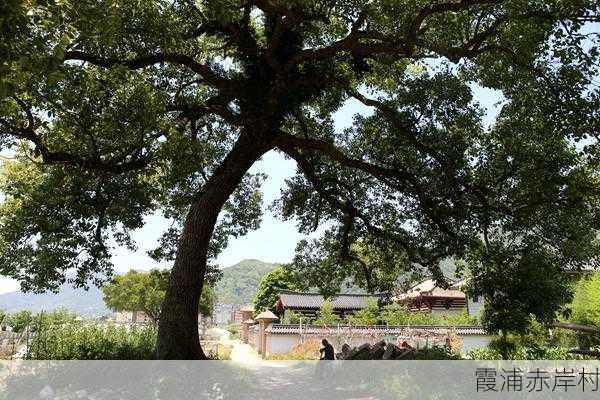 霞浦赤岸村