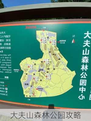 大夫山森林公园攻略