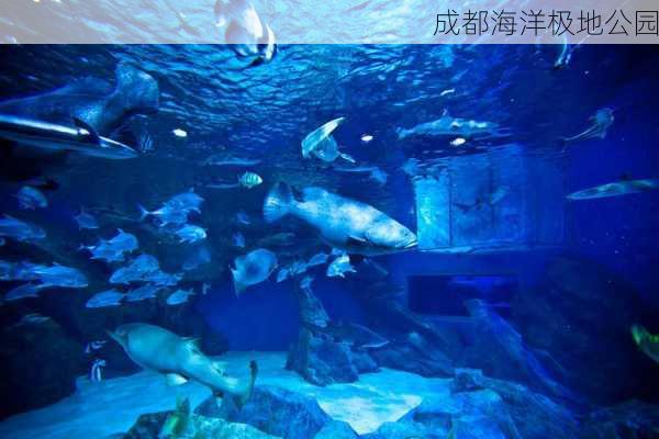 成都海洋极地公园