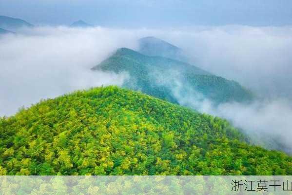 浙江莫干山