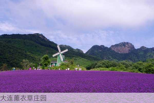 大连薰衣草庄园