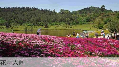 花舞人间