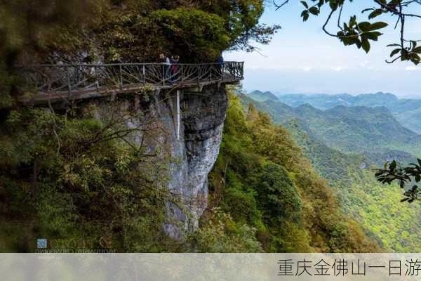 重庆金佛山一日游