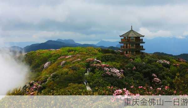 重庆金佛山一日游