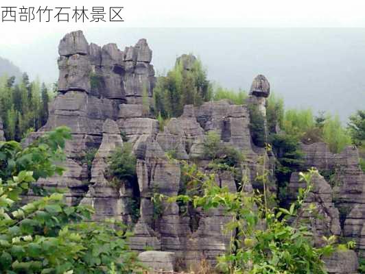 西部竹石林景区