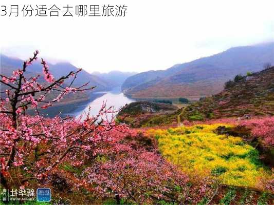 3月份适合去哪里旅游