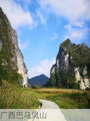 广西巴马凤山