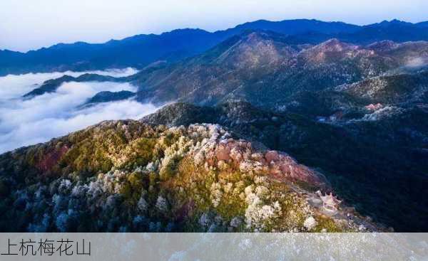 上杭梅花山