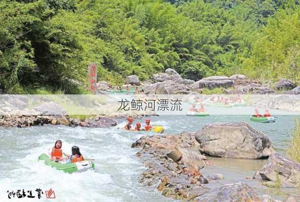 龙鲸河漂流