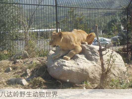 八达岭野生动物世界