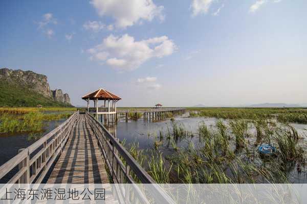 上海东滩湿地公园