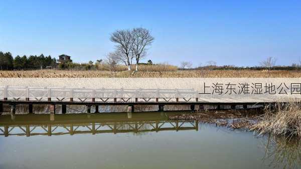 上海东滩湿地公园