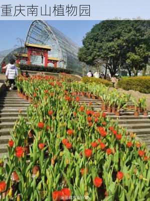 重庆南山植物园