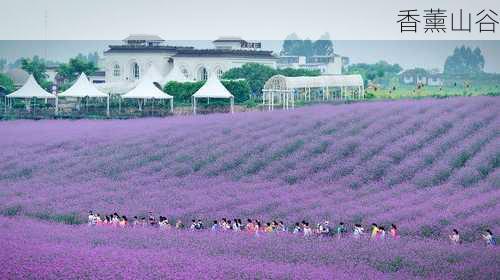 香薰山谷