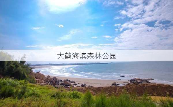 大鹤海滨森林公园