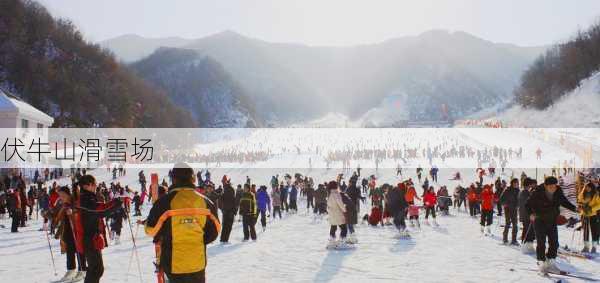 伏牛山滑雪场