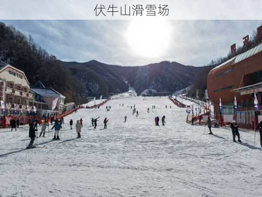 伏牛山滑雪场