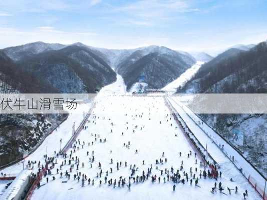 伏牛山滑雪场